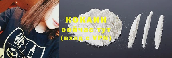 молекула духа Белокуриха
