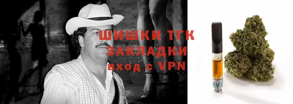 молекула духа Белокуриха
