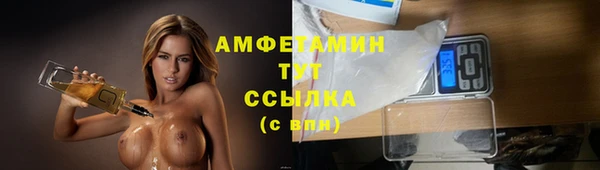 гидра Белоозёрский
