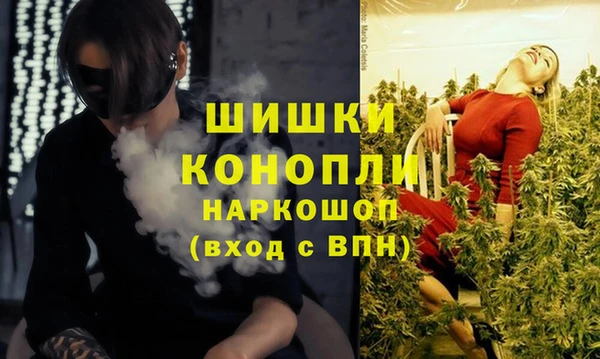 молекула духа Белокуриха