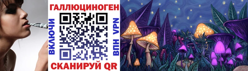 mega ТОР  Соль-Илецк  Псилоцибиновые грибы Psilocybe 